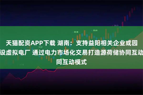 天猫配资APP下载 湖南：支持益阳相关企业或园区建设虚拟电厂 通过电力市场化交易打造源荷储协同互动模式