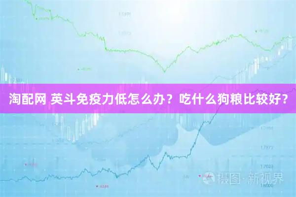 淘配网 英斗免疫力低怎么办？吃什么狗粮比较好？